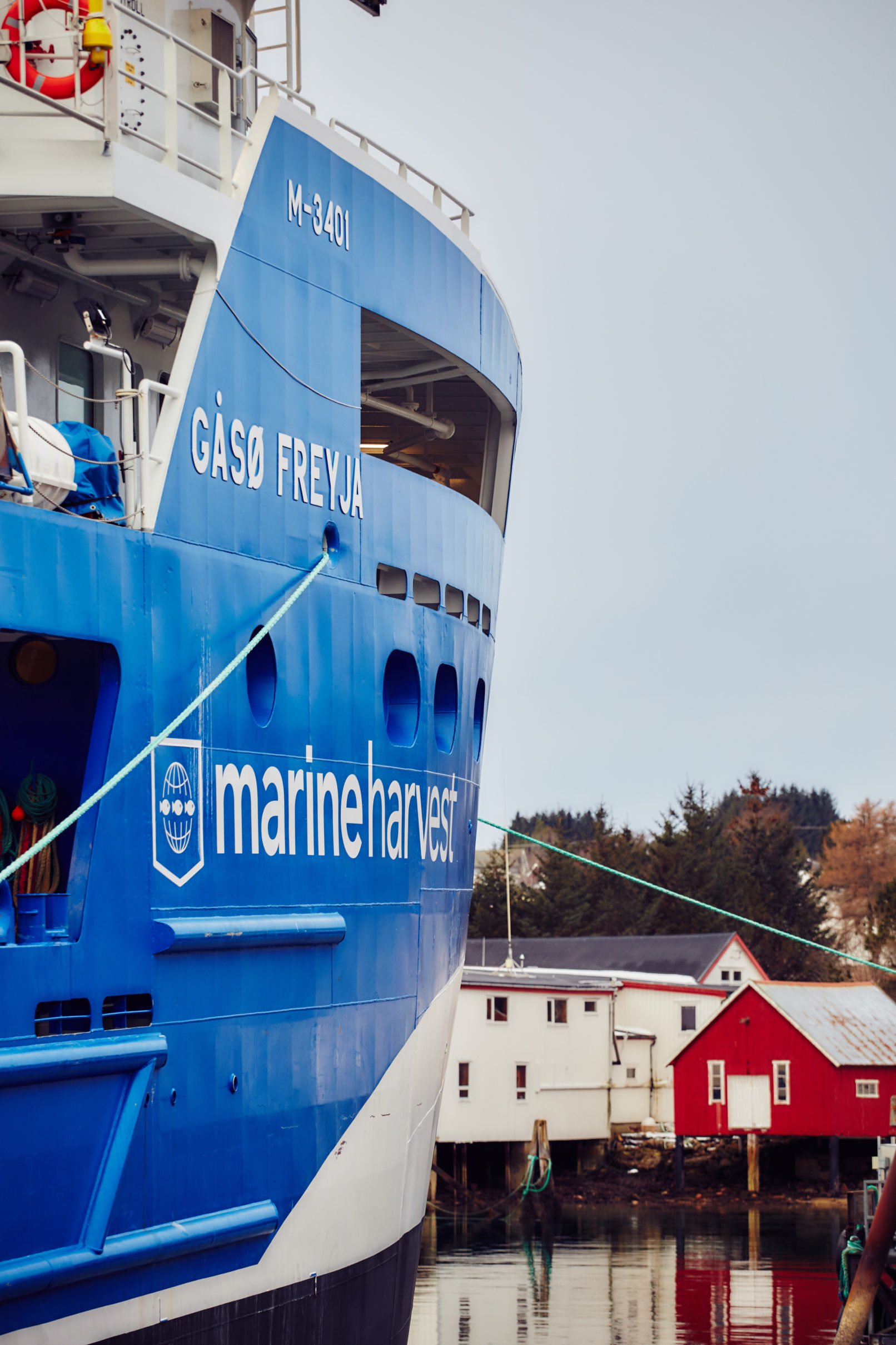 YooF Photography Krzysztof Zboralski